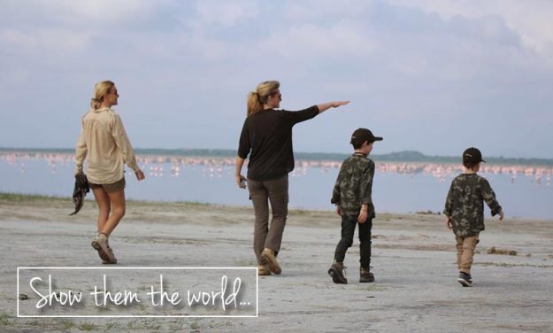 bc413ce4-51ca-48a2-9b2b-cbe5aa05ab6a