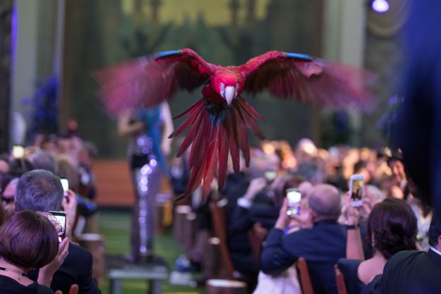 dinersurrealiste@Olivi116F