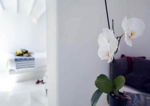 Alta Mare by Andronis Santorini